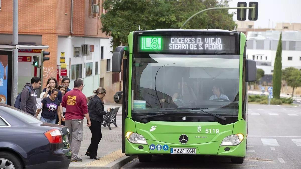 Imagen de archivo del autobús urbano en Cáceres.