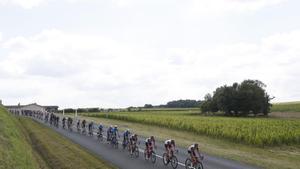 ¿Quin és el premi per guanyar el Tour de França?