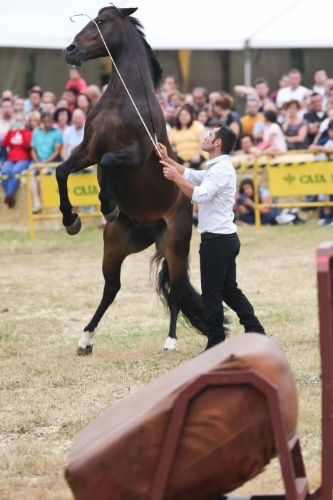 Espectáculo equestre en las fiestas de Premoño (Las Regueras)