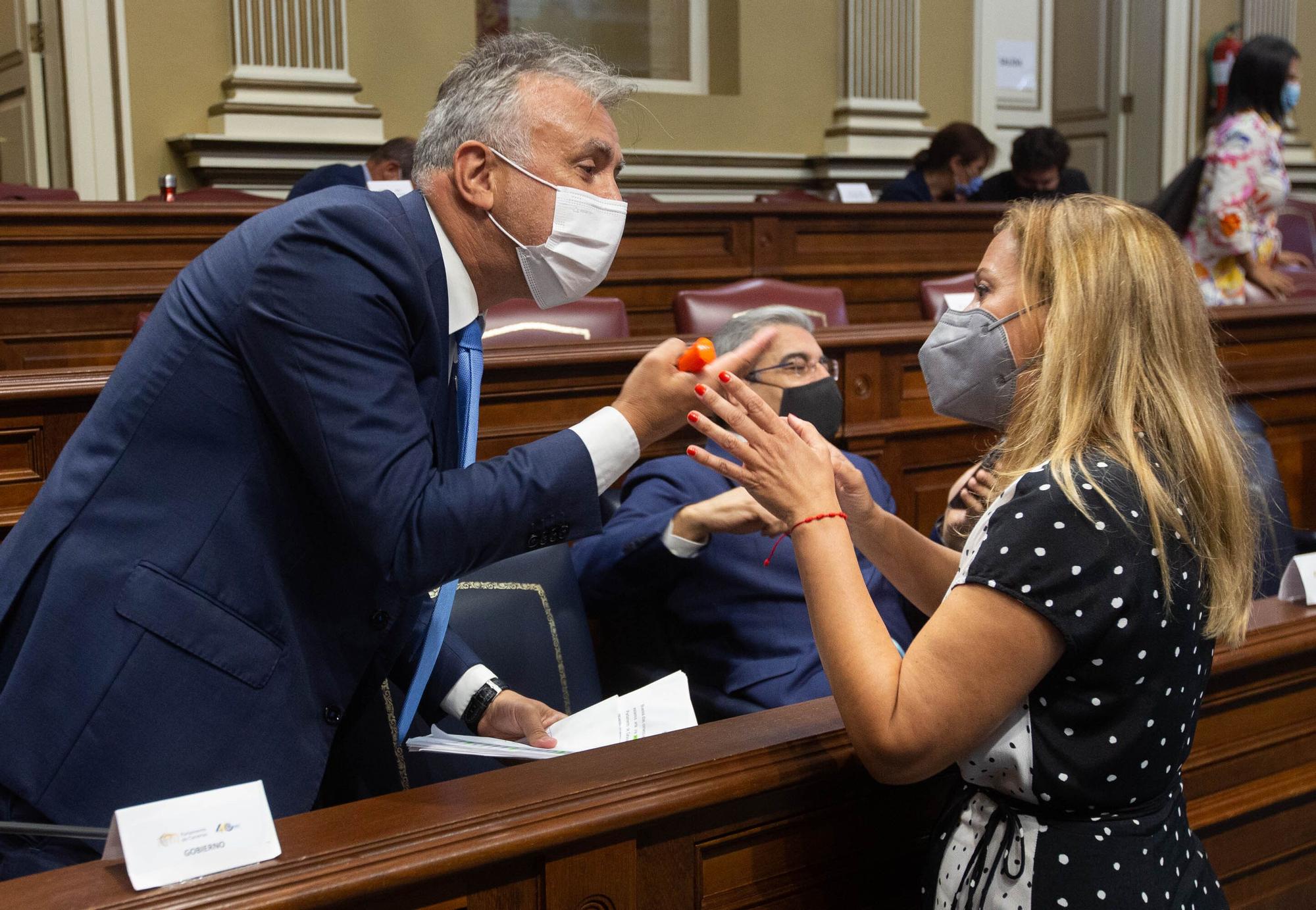 Pleno del Parlamento de Canarias