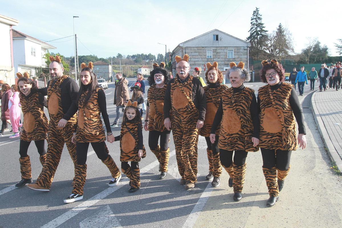 Un grupo de vecinos de Seixalbo de distintas generaciones, disfrazados de tigres.