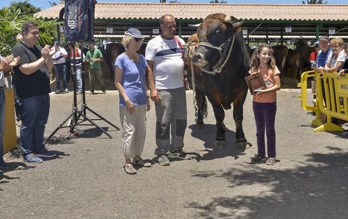 ARUCAS GRAN CANARIA A 28/05/2017 Entrega de premios concurso de ganado del Cabildo de Gran Canaria. FOTO: J.PÉREZ CURBELO