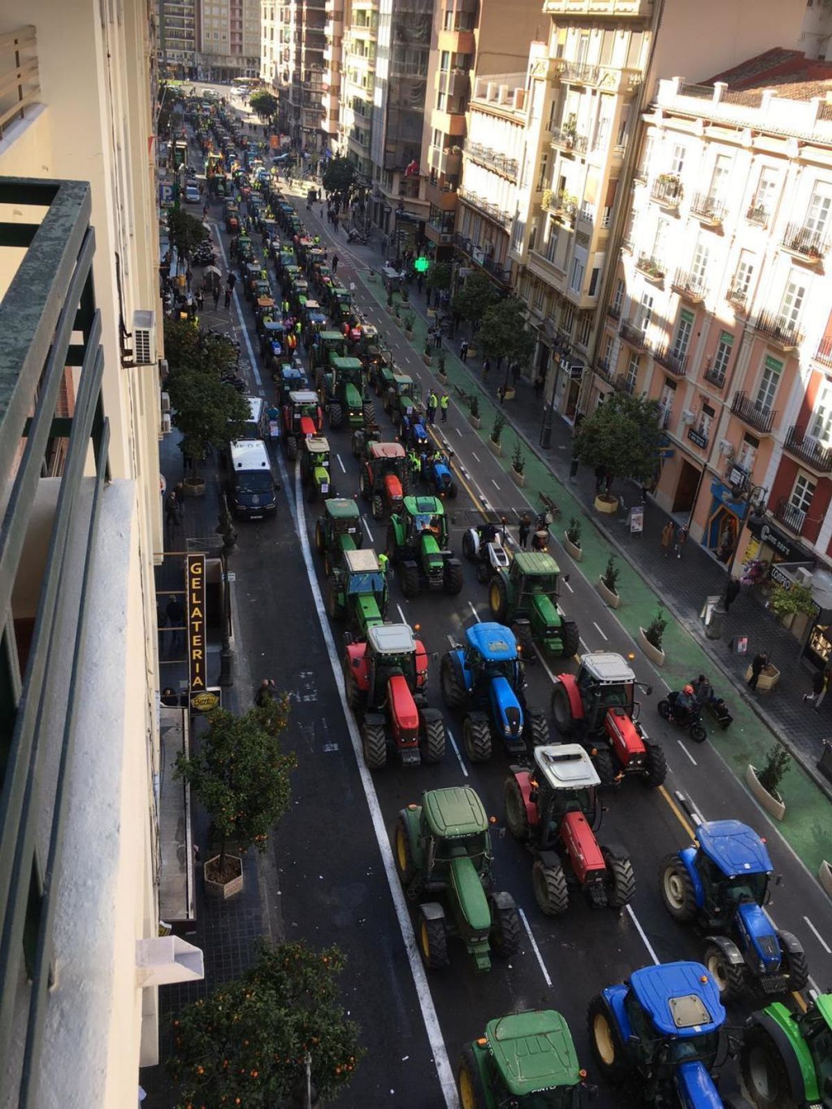 1.500 alicantinos en la movilización agraria que pide precios justos