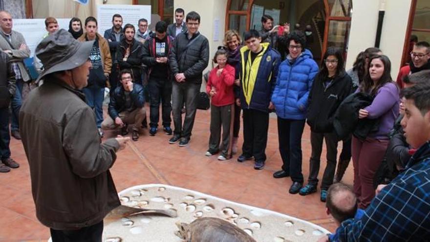 La Casa dels Mundina inauguró ayer la exposición «Mare Nostrum», que forma parte del XIII Simposium Internacional de Fotografía y Naturaleza, que se celebrará del 15 al 17 d&#039;abril en Vila-real, organizado por EDC Natura-Fundación Omacha con la colaboración del Ayuntamiento de Vila-real. La muestra acerca el mundo del mar y los océanos a los escolares de los colegios de la localidad, en particular al Mar Mediterráneo. Al acto de inauguración de la muestra acudieron miembros de la corporación municipal