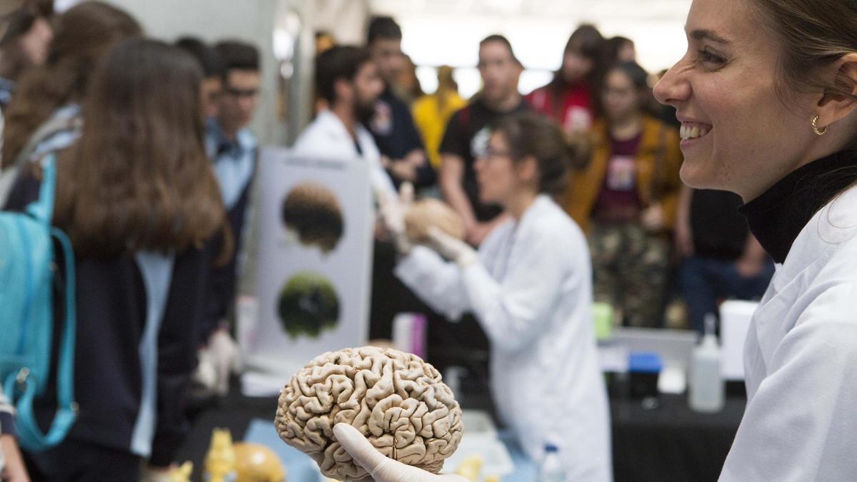 La UMH de Elche explica cómo es posible recuperar la visión con un microchip implantado en el cerebro