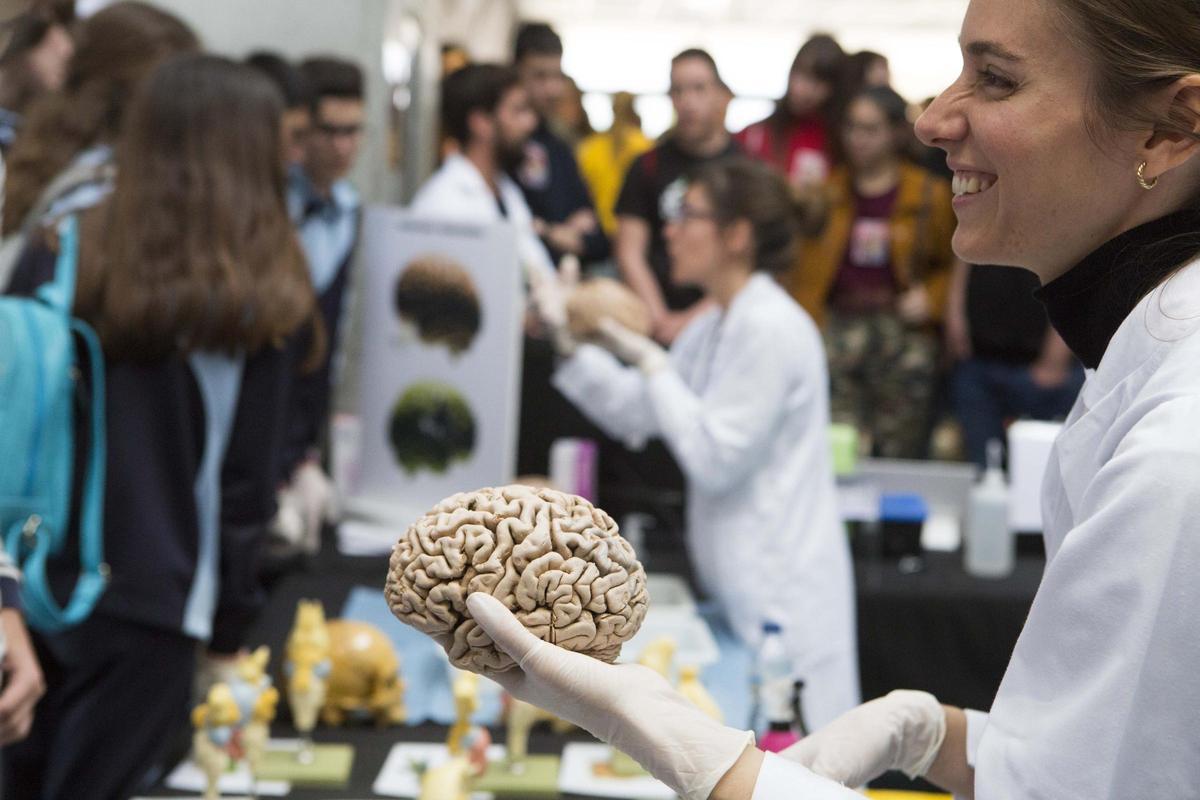 La UMH de Elche explica cómo es posible recuperar la visión con un microchip implantado en el cerebro