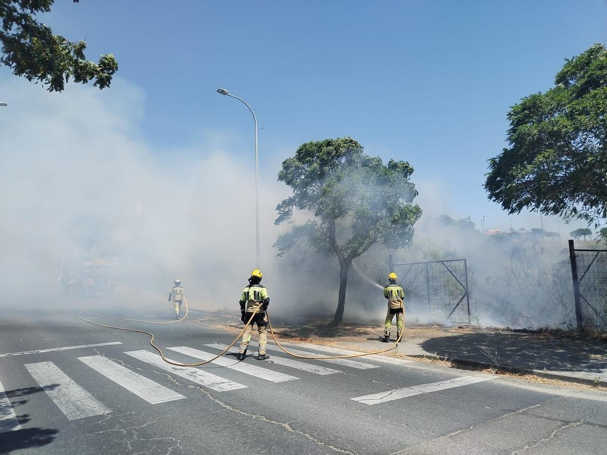 Fotogalería | Incendio de pastos en Plasencia