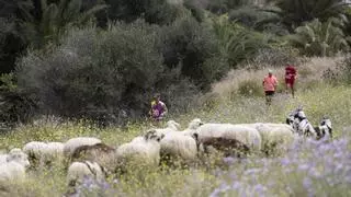 La novena edición de la LPA Trail abre inscripciones este lunes 18 de diciembre