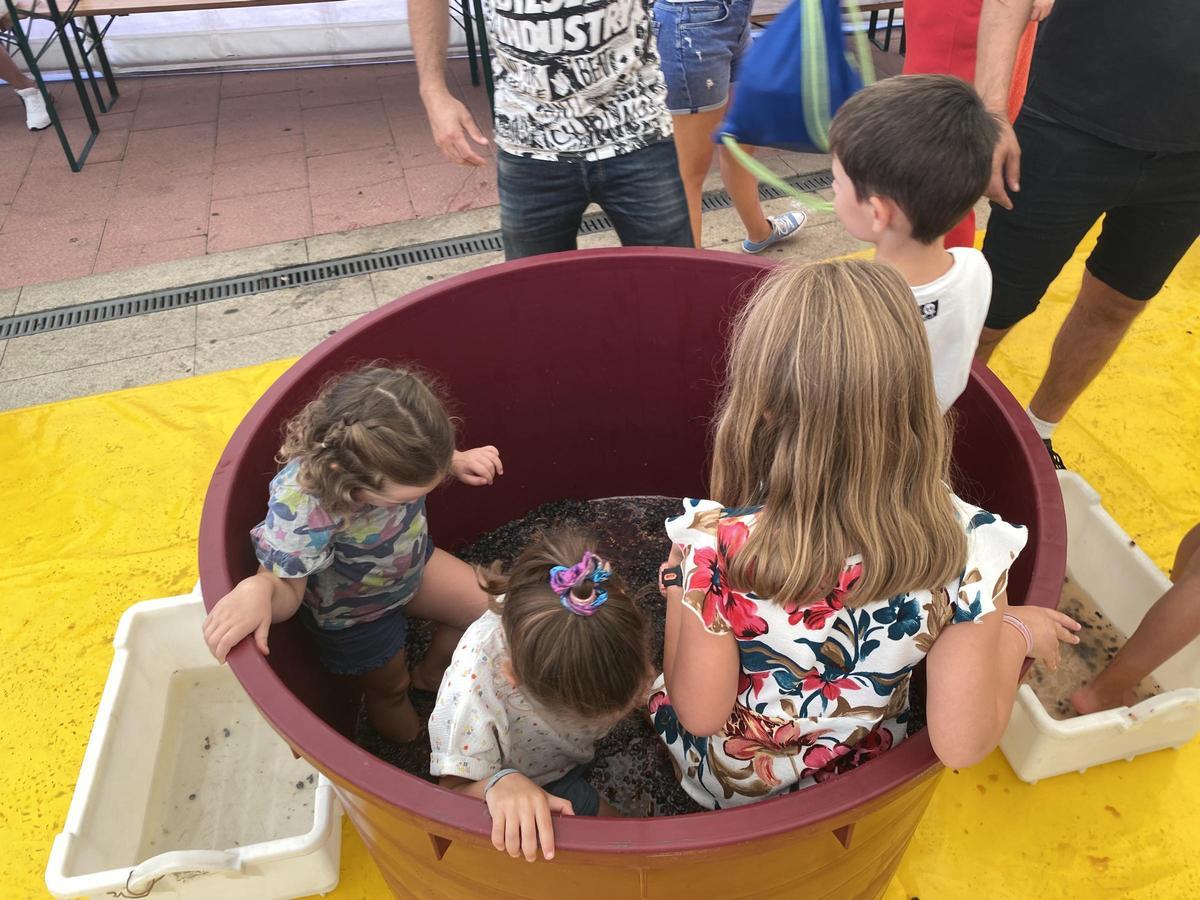 Feria de Septiembre y vendimia.