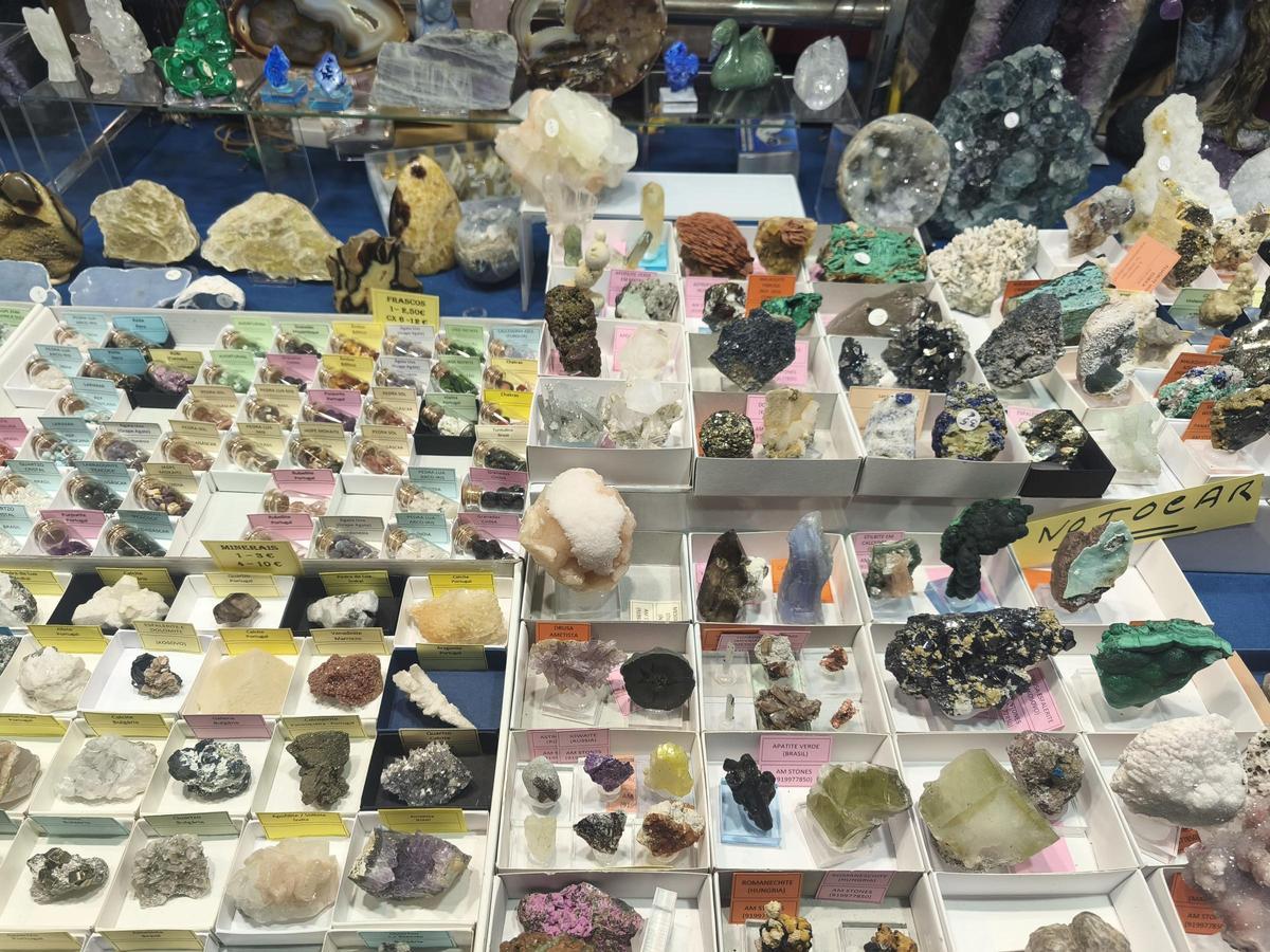 Un expositor con minerales en Área Central.