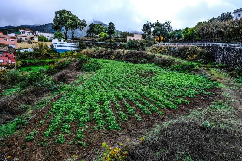 Día de lluvia en Gran Canaria (27/11/21)