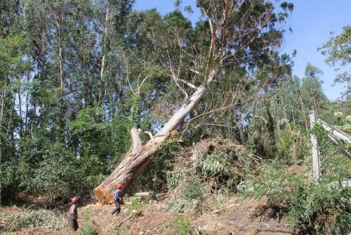 La caída de un gigante