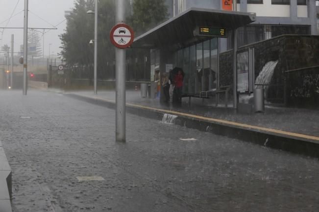 Delia Padrón lluvias , temporal , barrancos ...