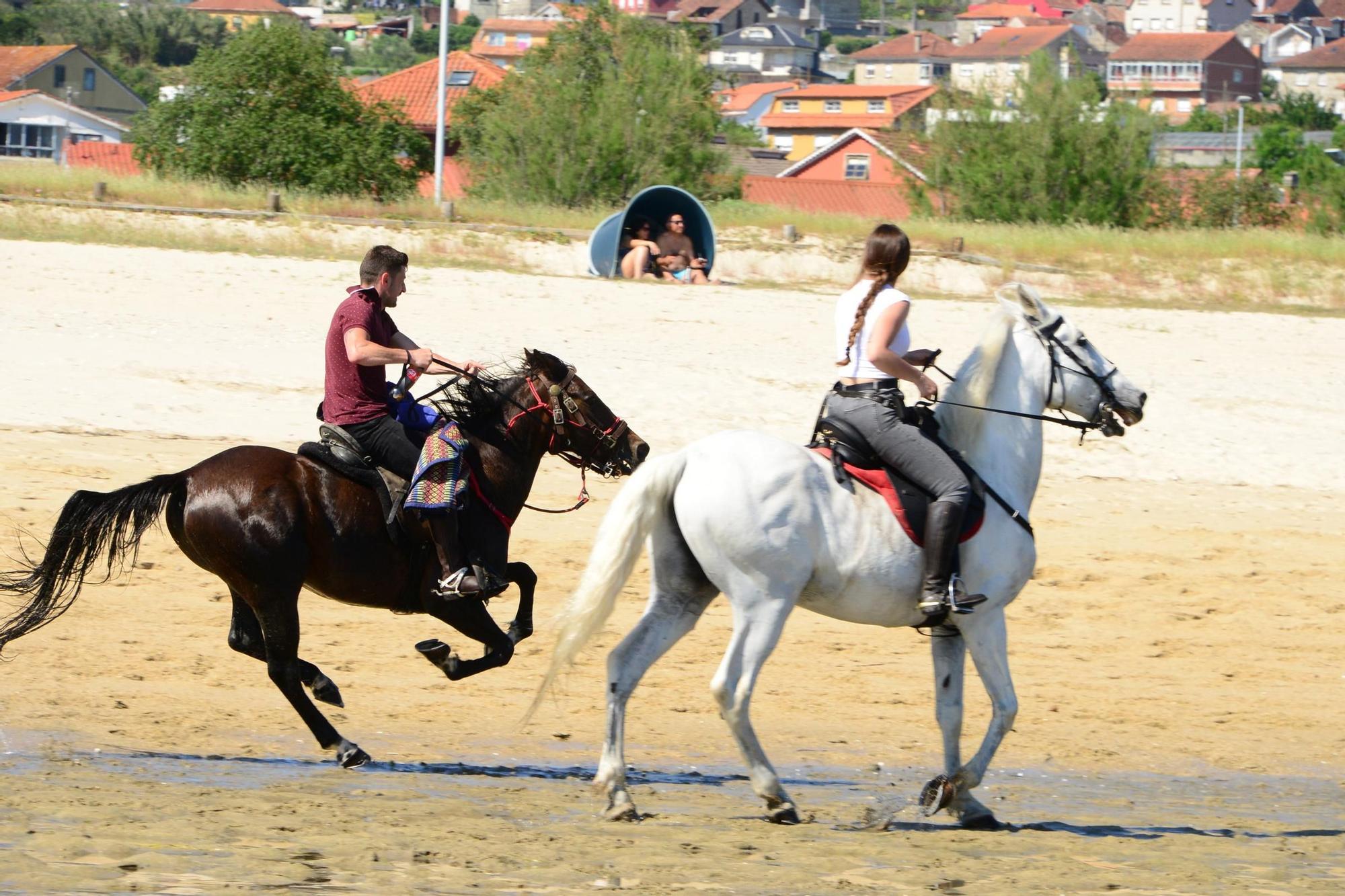 Una espectacular jornada a caballo por Moaña (I)