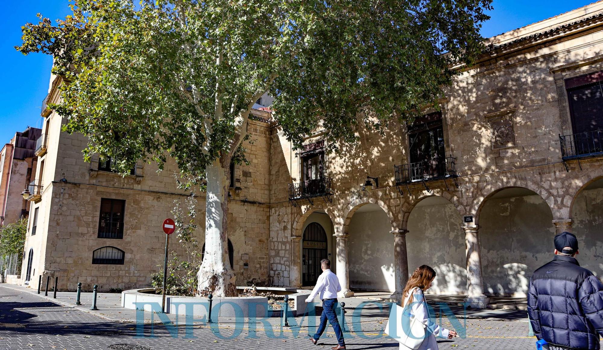 El Museo Arqueológico de Alcoy de mudanza por las obras de consolidación del edificio.