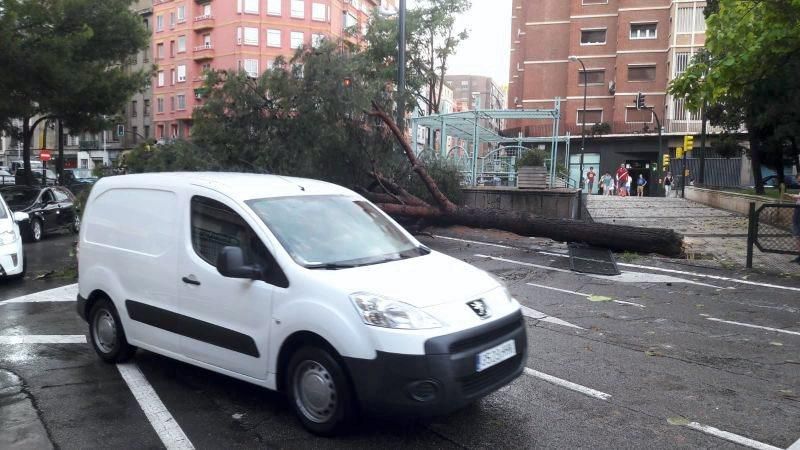 Consecuencias de la tormenta en Zaragoza