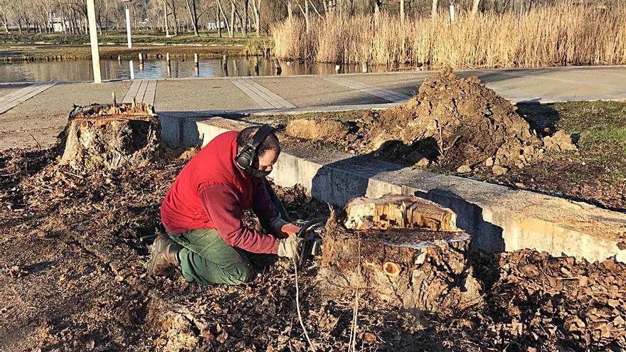 L&#039;actuació a la zona de la Draga de Banyoles.