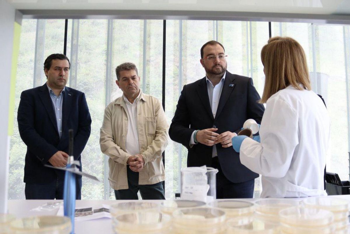 Barbón conversa con una investigadora junto a José Ramón Martín Ardines, alcalde de San Martín, y Adolfo Fernández, director del CIIN. | ZAI Semeyes