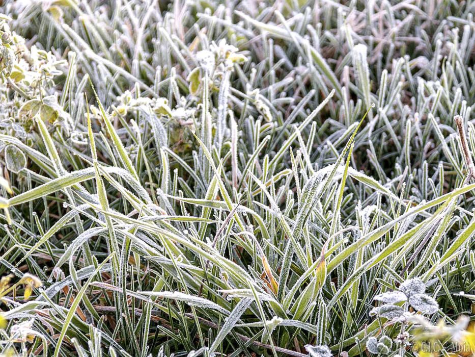 Gebrades. El gebre és un fenomen meteorològic en què el gel de les boires es diposita sobre les superfícies d’objectes sòlids que es troben a una temperatura inferior als 0 °C.