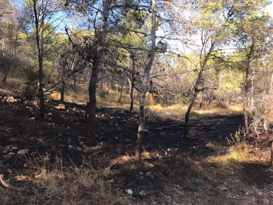 Pequeño incendio forestal en la Serra Grossa