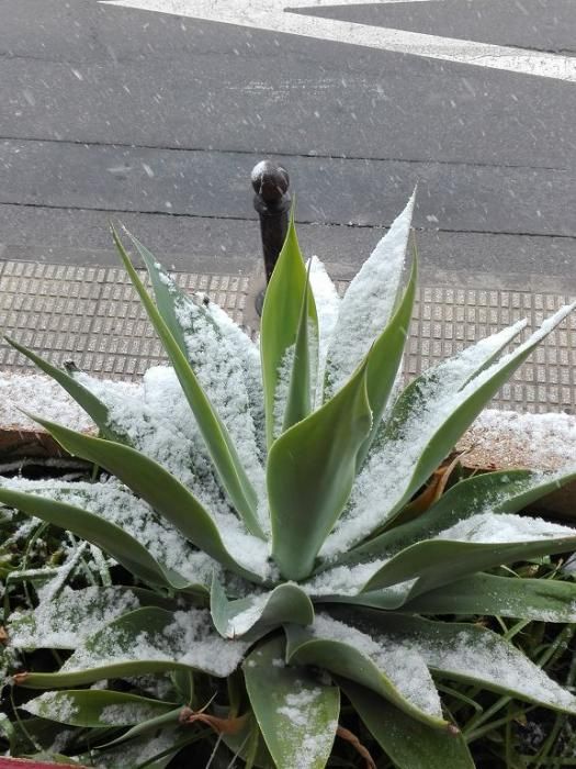 Nieve en el Barrio del Progreso - Murcia