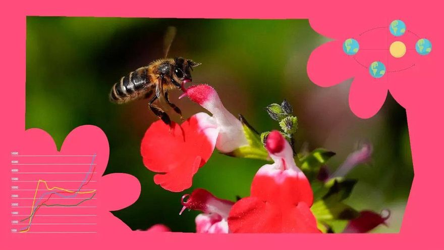 ¿Por qué la primavera la sangre altera, revoluciona las flores y trae de vuelta a las golondrinas?