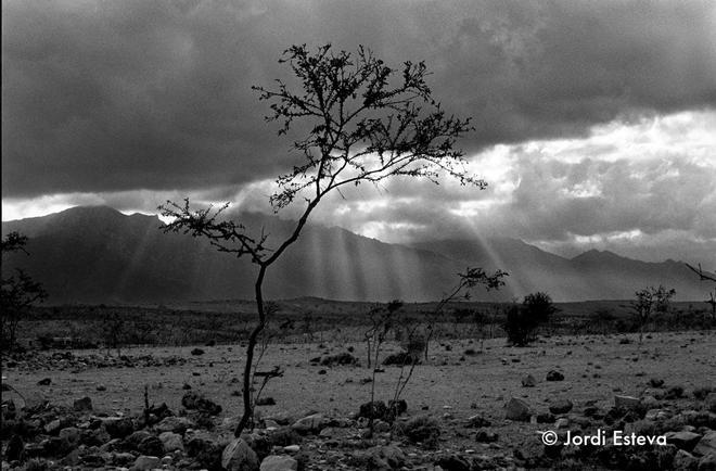 Socotra - Jordi Esteva