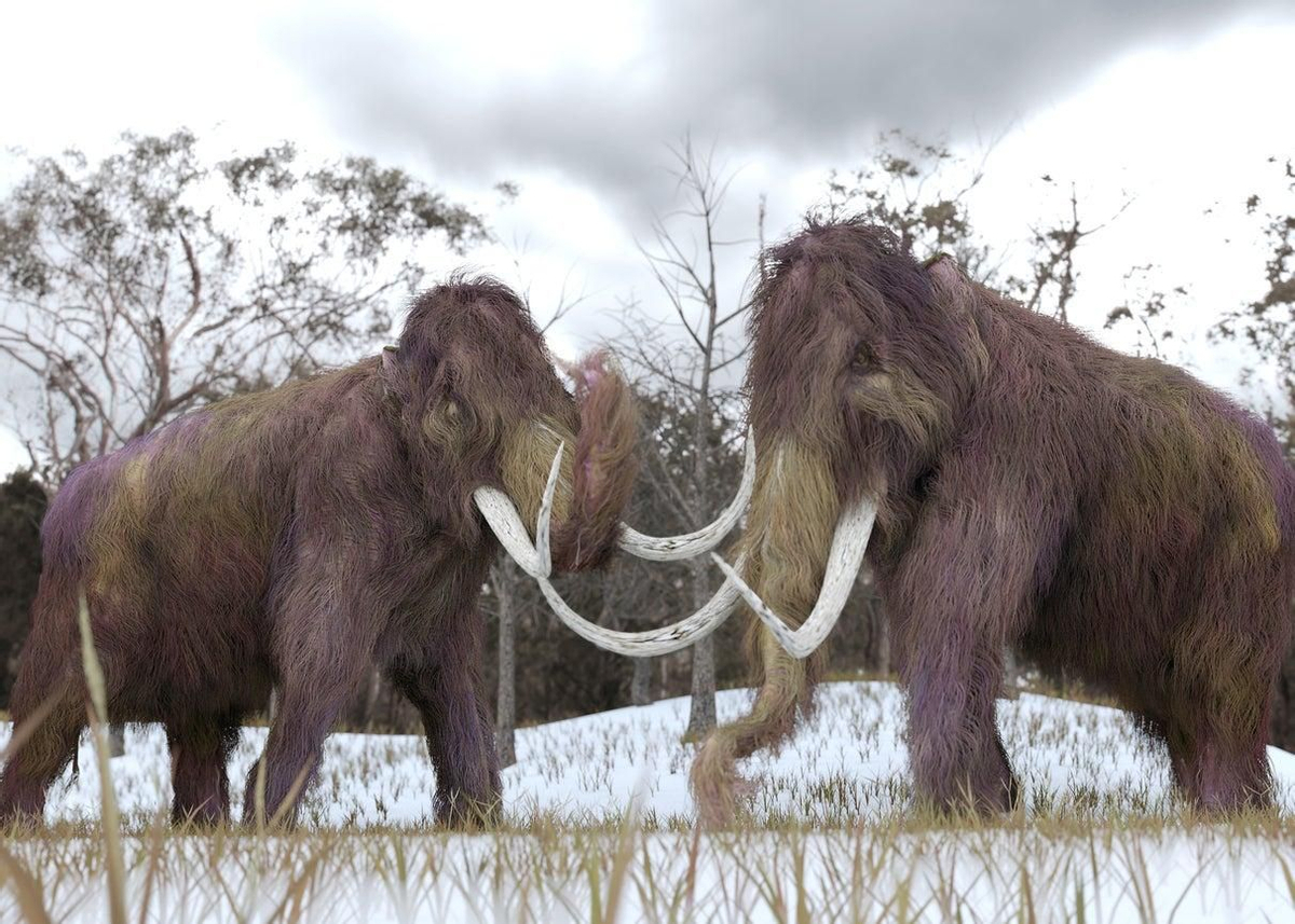 Mamut lanudo