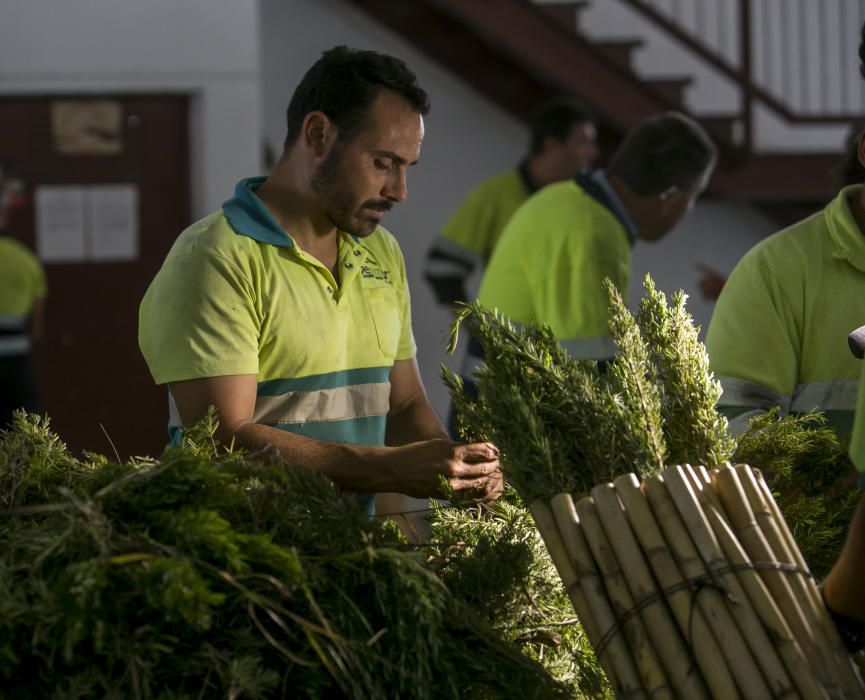 Romería de la Santa Faz