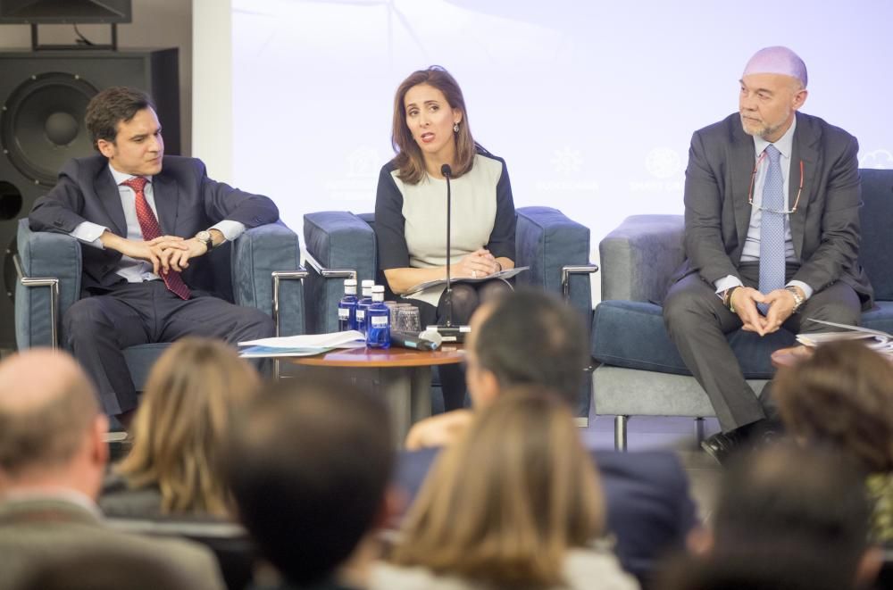 Congreso Avaesen sobre energías renovables en el club Diario Levante