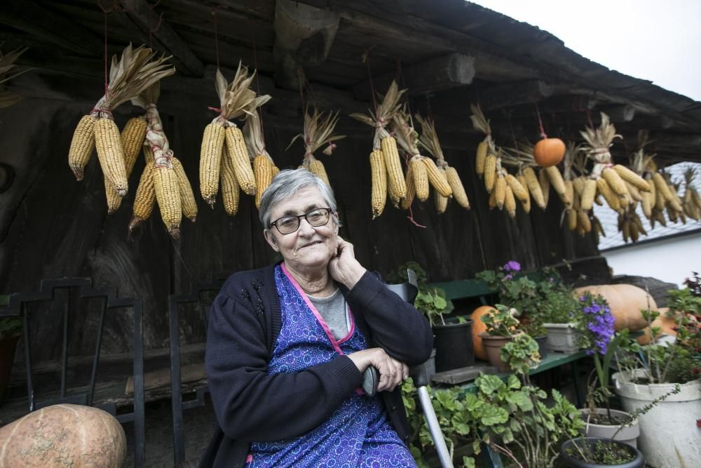 Los concejos del occidente de Asturias, considerados como los más saludables