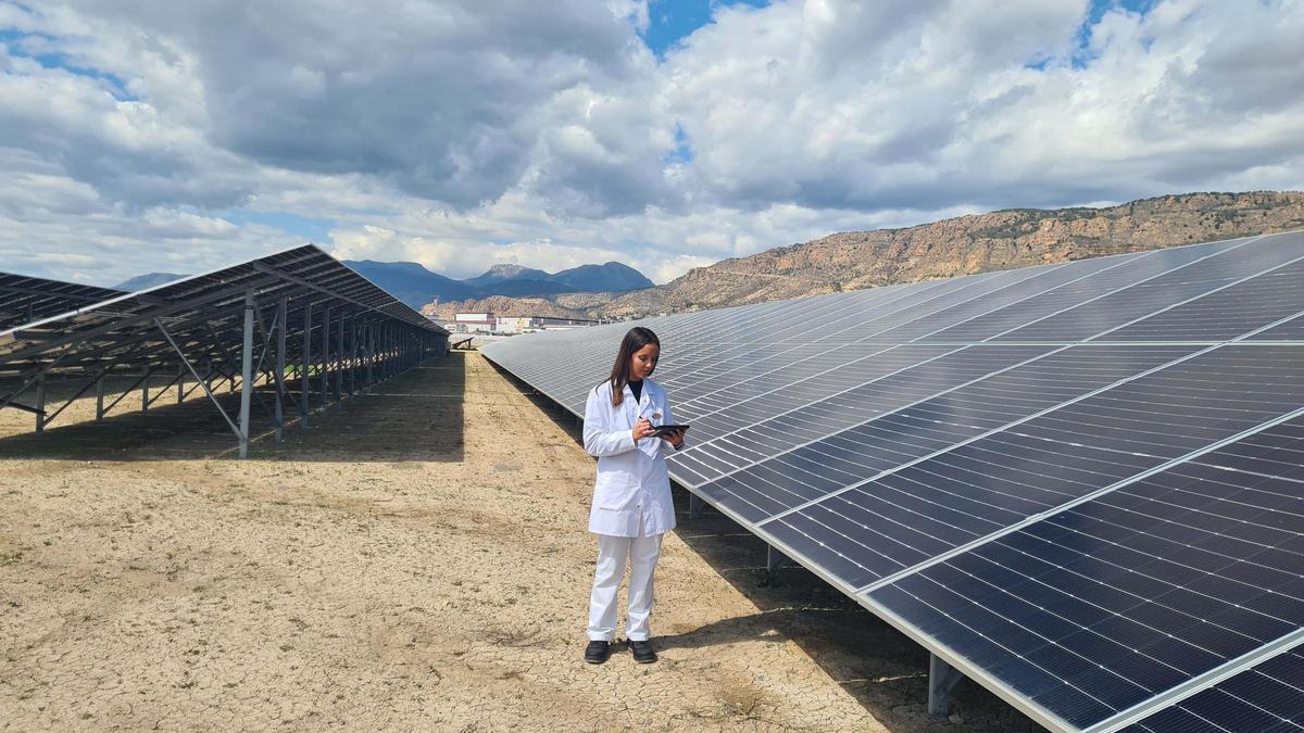 Planta fotovoltaica en las instalaciones del Grupo Fuertes.