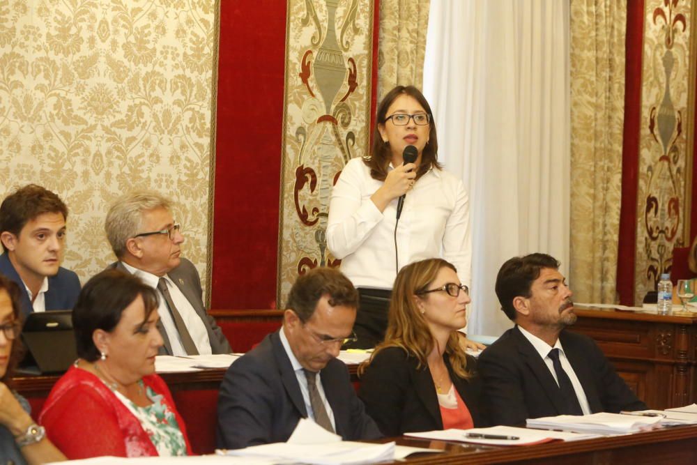 Pleno en el Ayuntamiento de Alicante