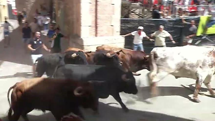 Así ha sido la primera Entrada de Toros y Caballos de Segorbe 2026: 51 segundos de emoción y destreza