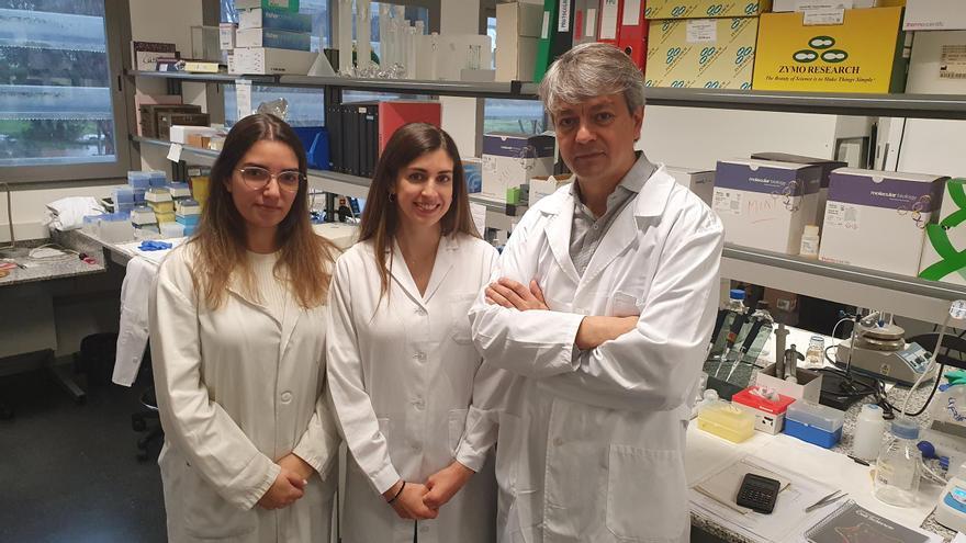 La Universidad de Extremadura identifica un gen implicado en la reparación del daño en el ADN