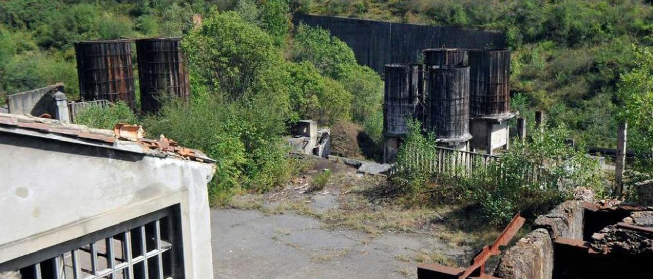 Un riesgo escondido entre las ruinas