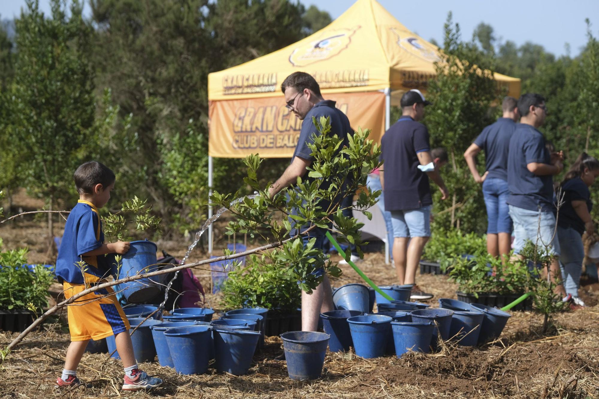 Reforestación 'Compromiso Granca'