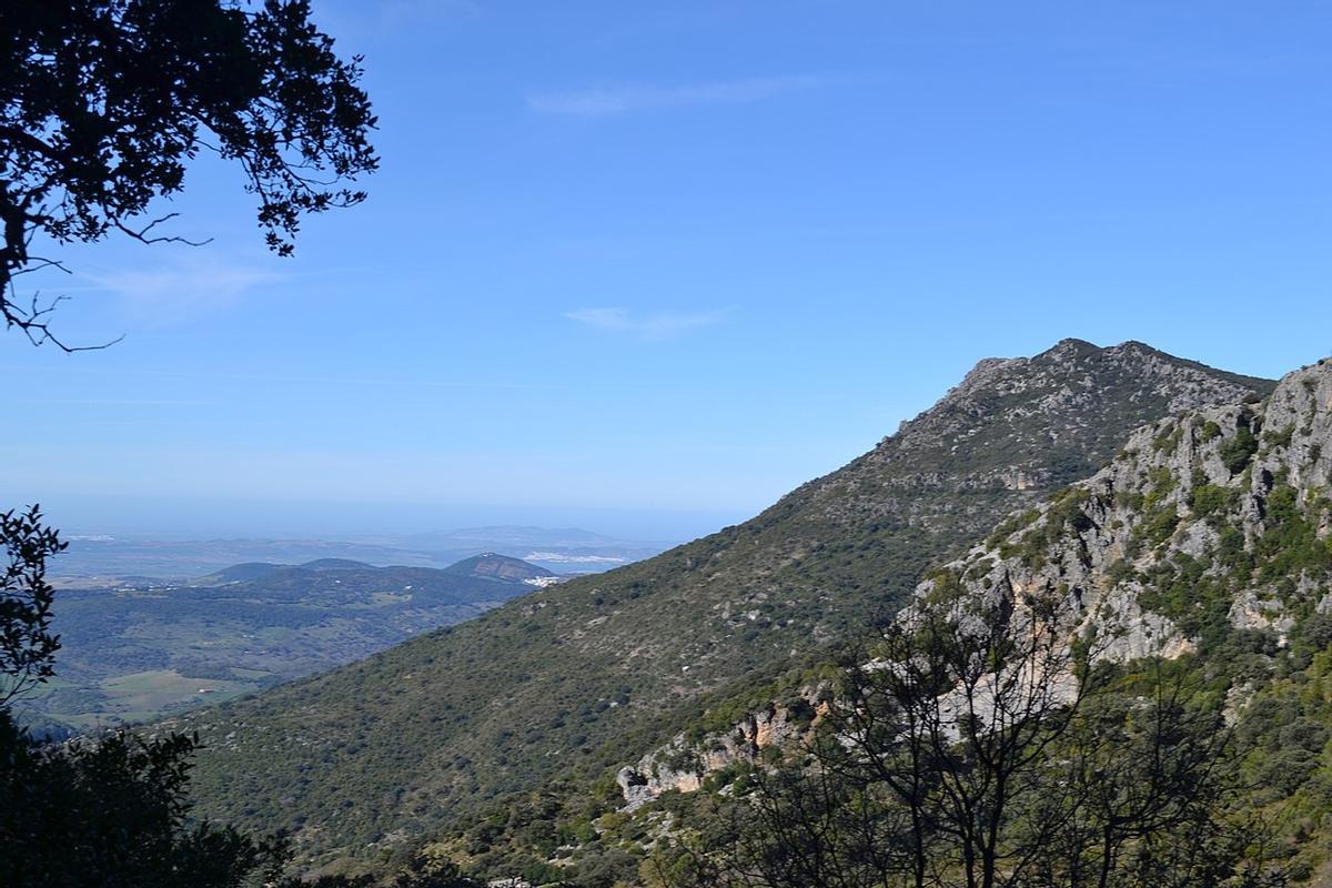 Parte de la Ruta del Pinsapar en Grazalema