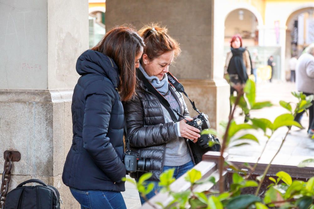 Unos 400 fotógrafos toman Palma