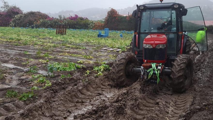Las lluvias de &#039;Hermine&#039; en Canarias dejan agua en los cultivos para aguantar hasta un mes