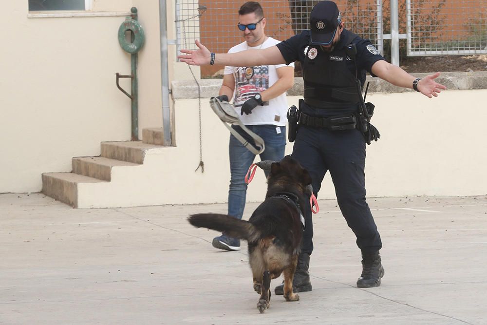 Agentes de Sant Antoni muestran a los alumnos las habilidades de la perra para detectar droga.