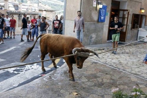 Der traditionelle Stierlauf von Fornalutx