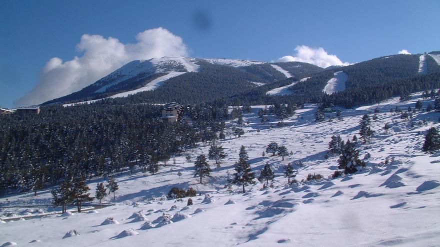 L&#039;escalfament global farà que creixin arbres en cotes més altes del Pirineu