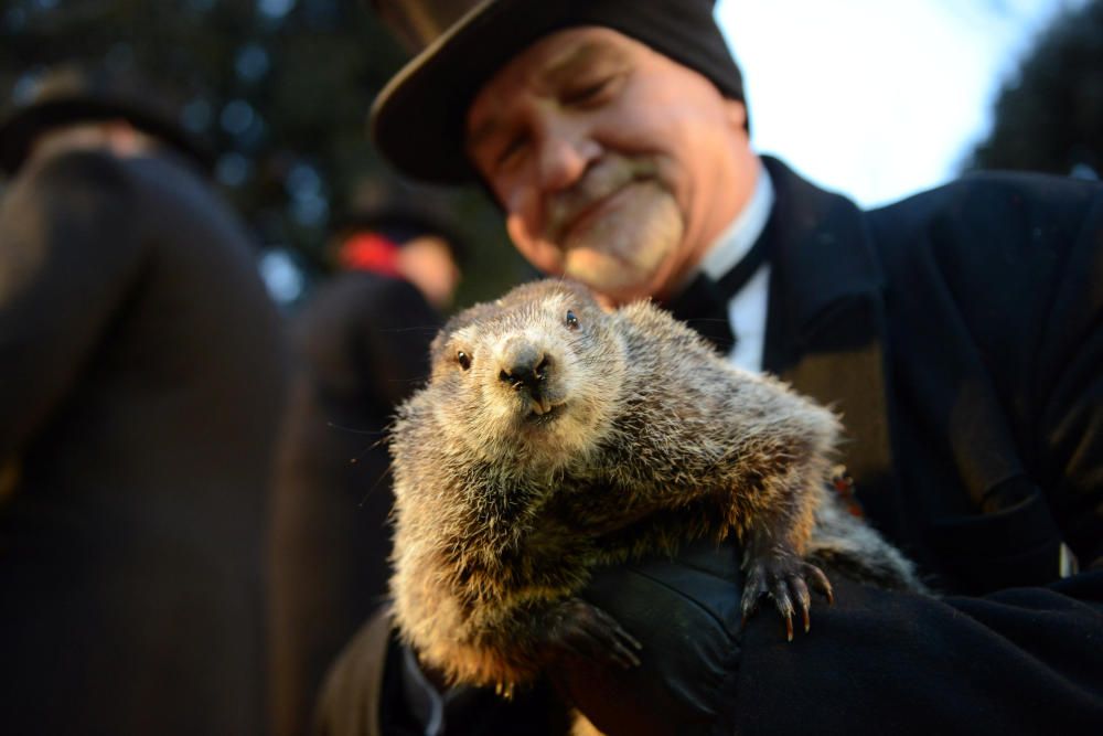 La marmota Phil pronostica un hivern llarg