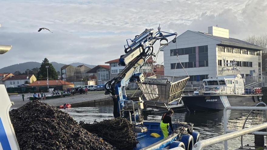 La toxina diarreica aumenta en las rías de Vigo, Pontevedra y Arousa