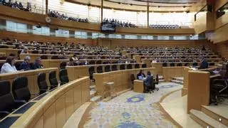 El PSOE respalda la comisión sobre la trama Koldo en el Senado y el PP impide investigar otros casos