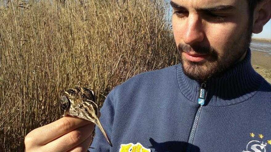 David Sánchez: &quot;Cada vez dejamos menos espacio para la naturaleza&quot;