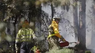 Un incendio forestal moviliza un amplio dispositivo del Infoca en Espiel