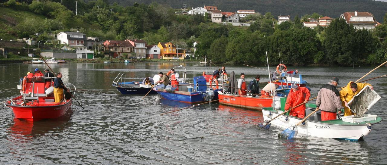 Mariscadores de a flote de Redondela trabajando en la ría.