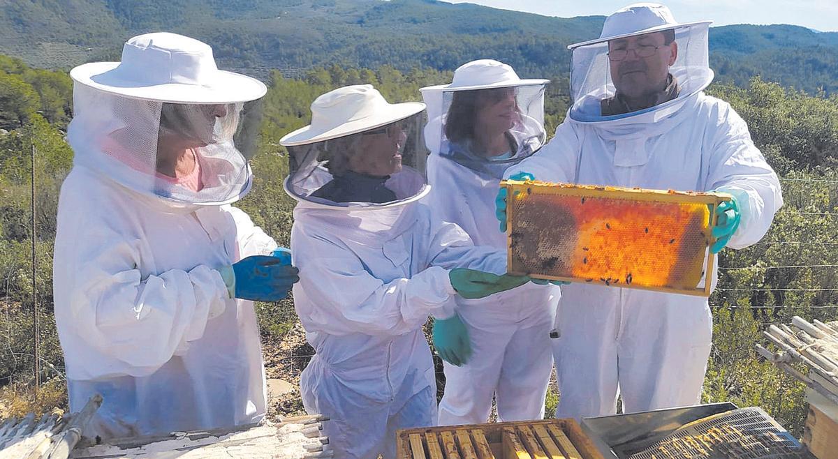 En Vilanova d’Alcolea van organitzar una activitat d’apicultura i coneixement del medi natural.